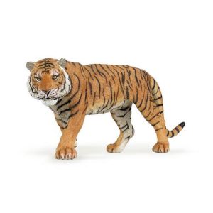 Tigre
