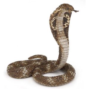 Cobra Real