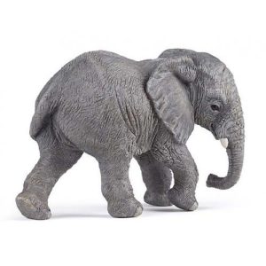 Elefante Jovem Africano
