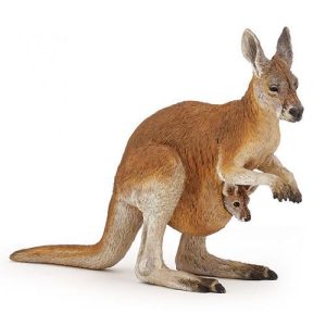 Canguru c/ Cria