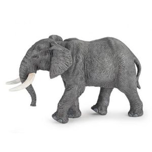 Elefante Africano