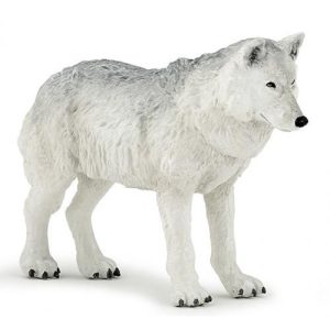Lobo Polar