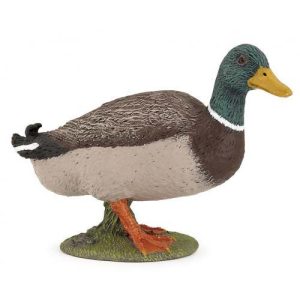 Pato-Real