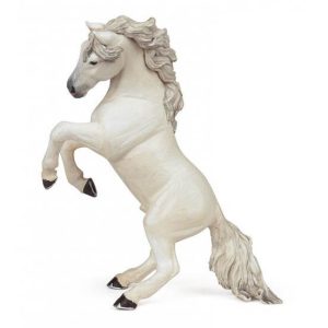Cavalo Branco em Pé
