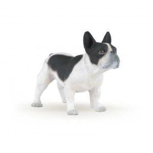 Buldogue Francês
