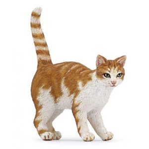 Gato Vermelho