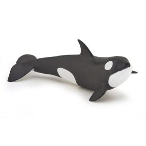 Orca Bébé