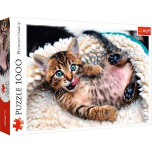 Puzzles 1000 pcs Gatinho alegre