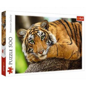 Puzzle 500 pcs Tigre