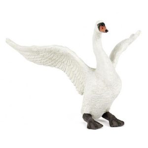 Cisne Branco