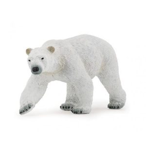 Urso Polar