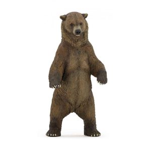 Urso Pardo