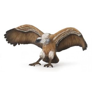 Abutre