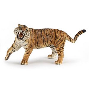 Tigre a rugir