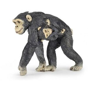 Chimpanzé c/ Cria