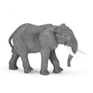 Elefante Africano Grande