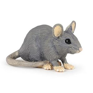 Rato Doméstico