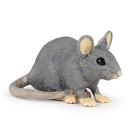 50205