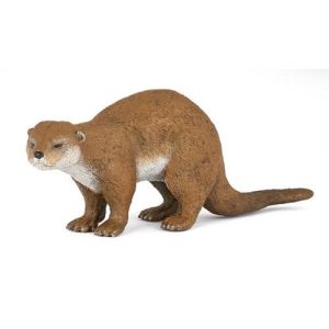 Lontra