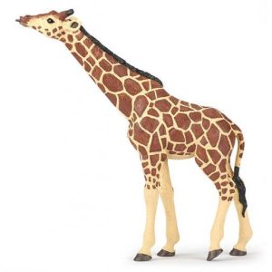 Girafa de Cabeça Levantada