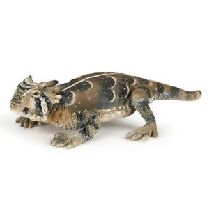 Lagarto Cornudo