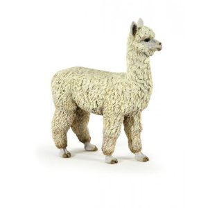 Alpaca