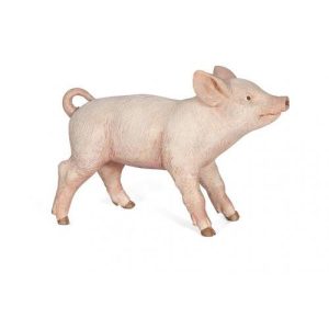 Porquinha