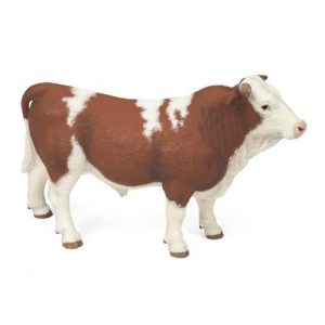 Touro Simmental