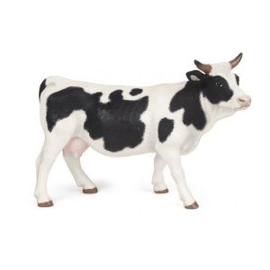 Vaca Preta e Branca