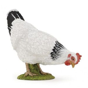 Galinha Branca e Preta