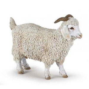 Cabra de Angora
