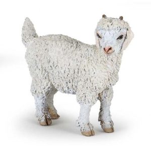 Cabra Jovem Angora