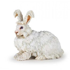 Coelho Angora
