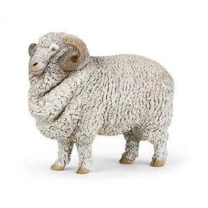 Ovelha Merino
