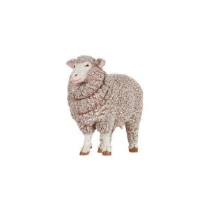 Ovelha Merino