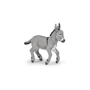 Cria de Burro de Provença