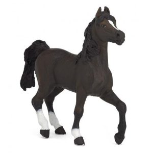Cavalo Árabe
