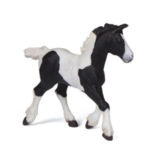 Potro Malhado Preto e Branco