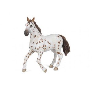 Égua Appaloosa Castanha