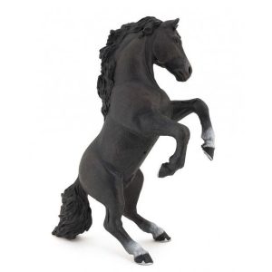 Cavalo Preto em Pé