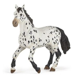 Cavalo Appaloosa Negro