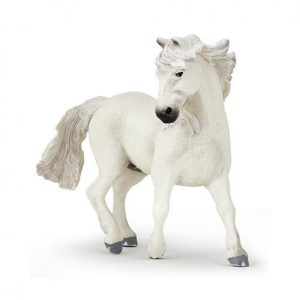 Cavalo Camargue