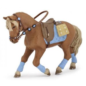 Cavalo do Jovem Cavaleiro