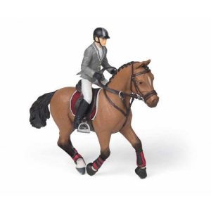 Cavalo de Competição + Cavaleiro