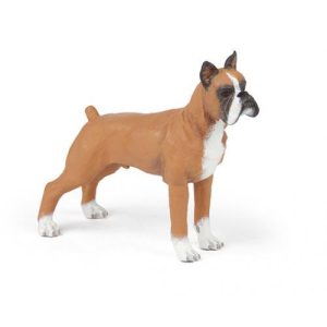 Boxer
