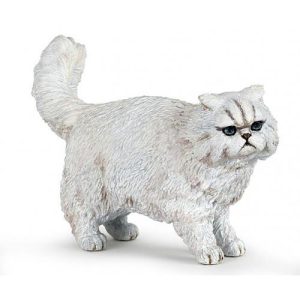 Gato Persa
