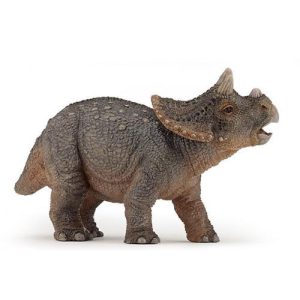 Triceratops Jovem