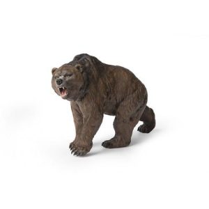 Urso das Cavernas
