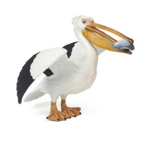 Pelicano