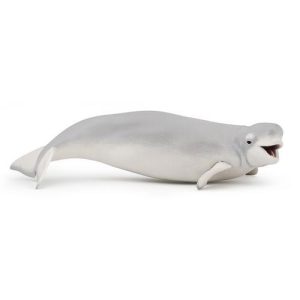 Beluga